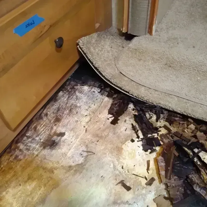 Wood Floor Water Damage in Maple Heights, OH